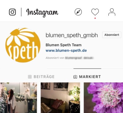 Blumen Speth Instagram
