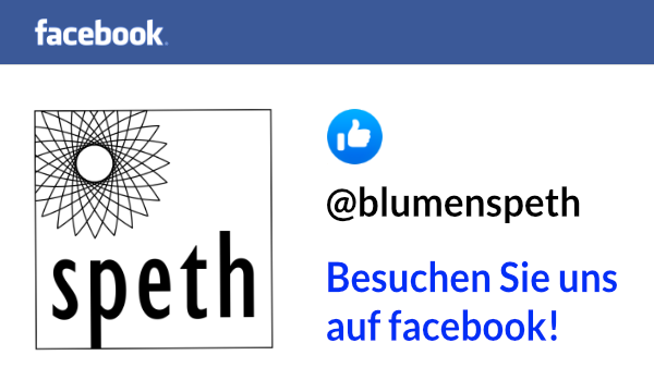 speth facebook banner neu