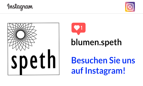 speth instagram banner
